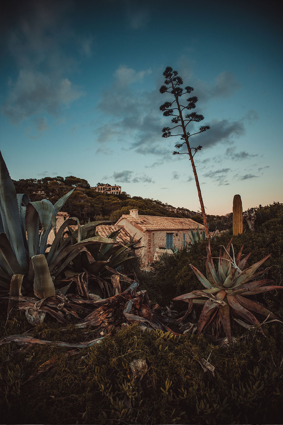 Travel-Photography Mallorca